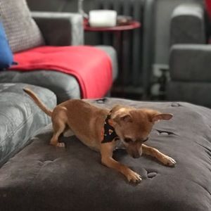 Meet your Posher, Elias